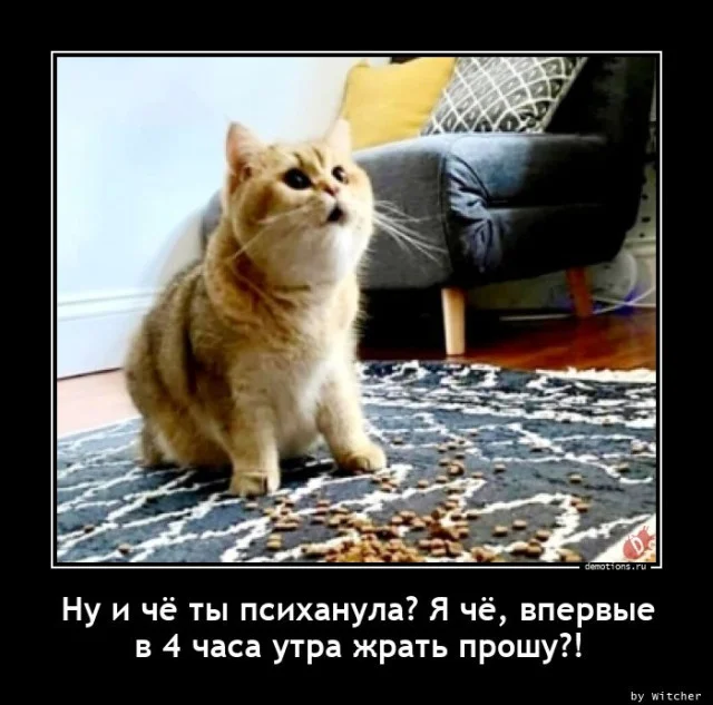 Свежая порция демотиваторов — иронично, жизненно и с сарказмом