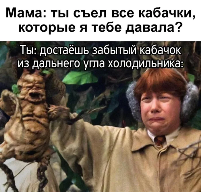 Мемы о Гарри Поттере, от которых даже Волан-де-Морт бы рассмеялся Мемы о Гарри Поттере, от которых даже Волан-де-Морт бы рассмеялся