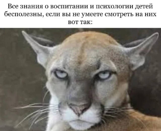 Начнем день с мемов