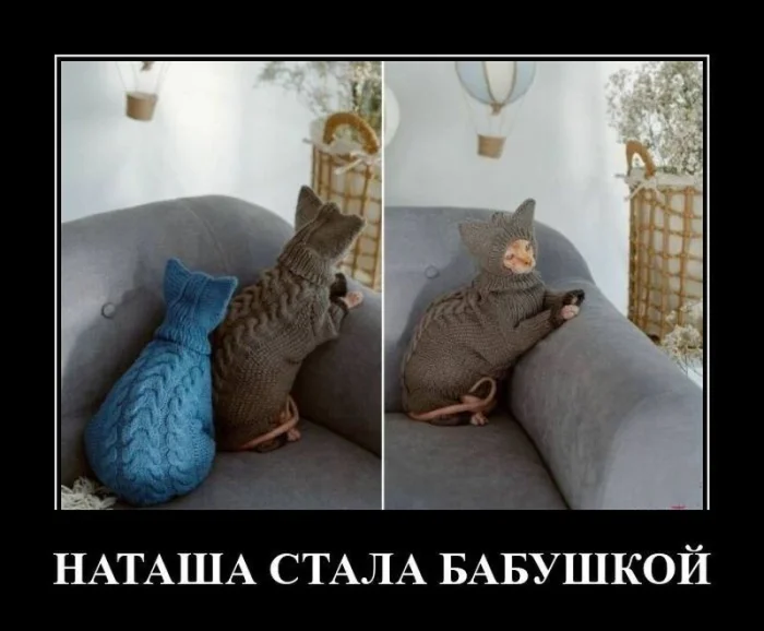 Свежая порция демотиваторов — иронично, жизненно и с сарказмом