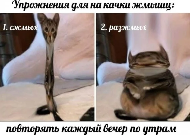 Мема-градия в баянах