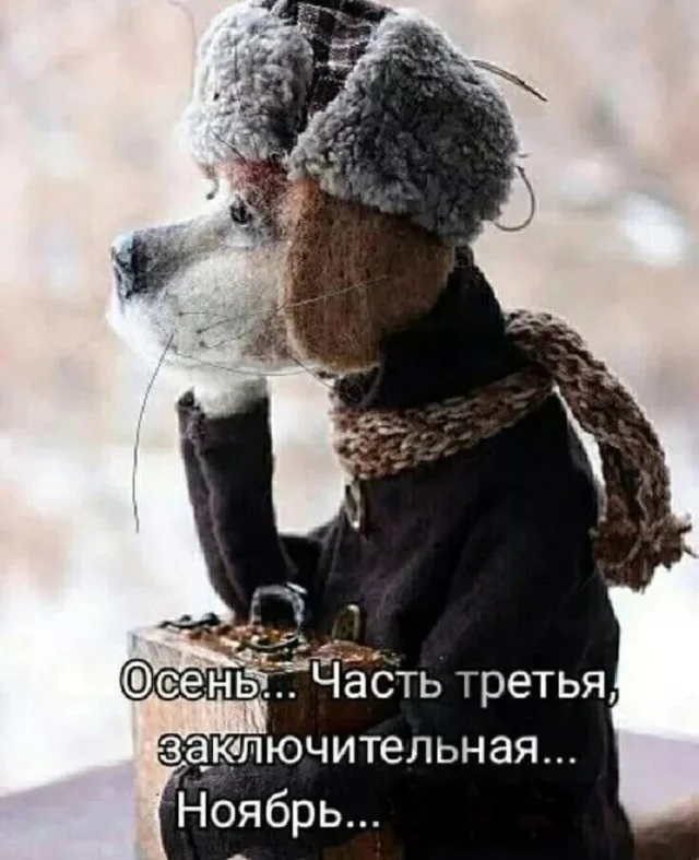 Плохое настроение? Держи мемы!