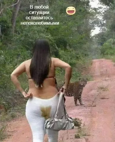 Разнообразные баяны