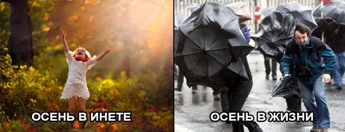 Осенний юмор: подборка шуток Осенний юмор: подборка шуток