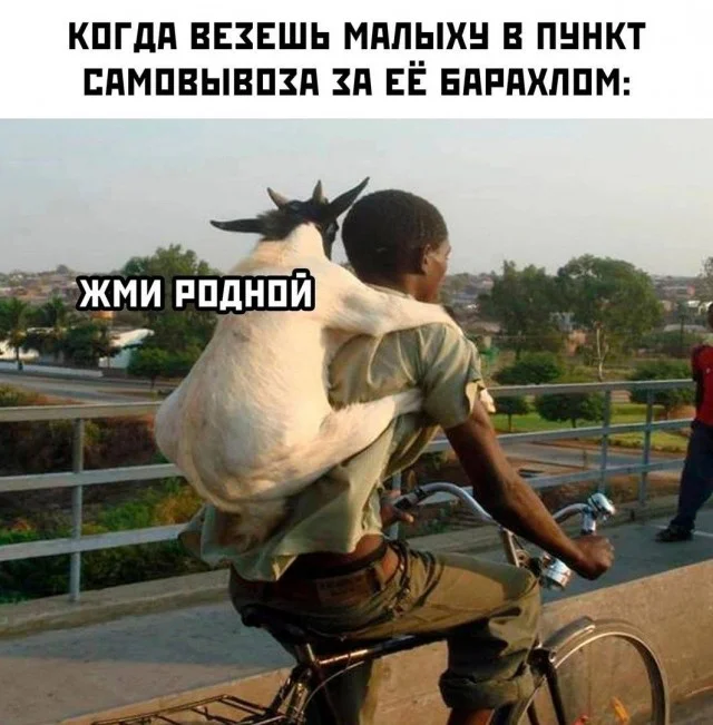 Деградация по полной! Мемы!