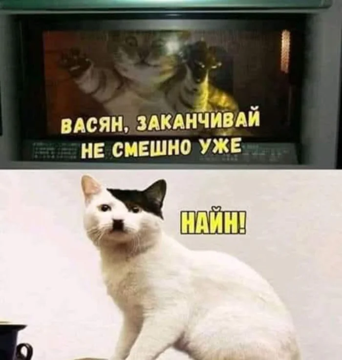 Про зверей и людей