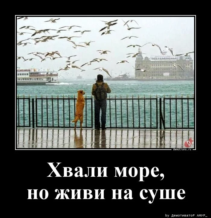 Весёлые демы