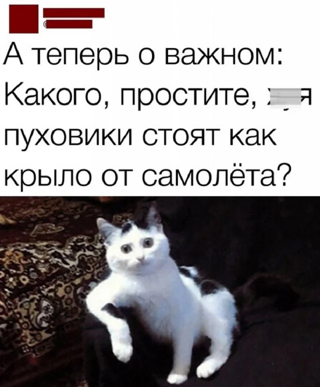 Получается мемы подвезли