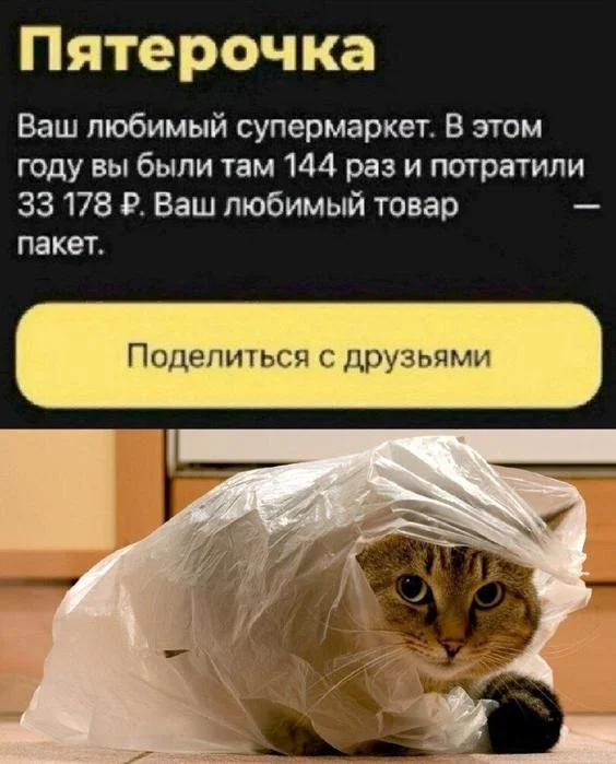 Деграднем с мемами