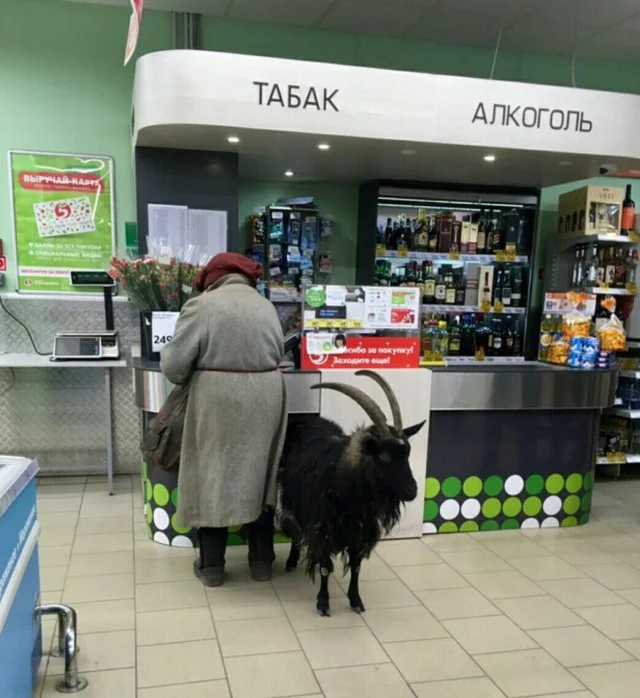 Мемы - это хорошо