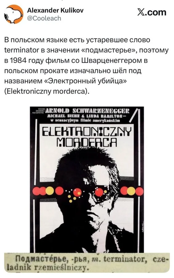 Киномемы в деталях: тайна крокодила Гены и феномен уважения к Супермену Киномемы в деталях: тайна крокодила Гены и феномен уважения к Супермену