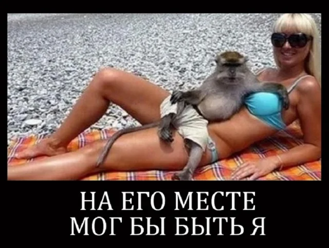 Суперские мемы