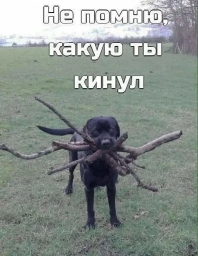 Держите мемы: смешно и весело