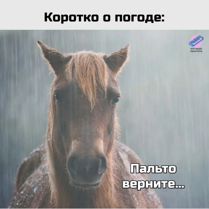 Осенний юмор: подборка шуток Осенний юмор: подборка шуток