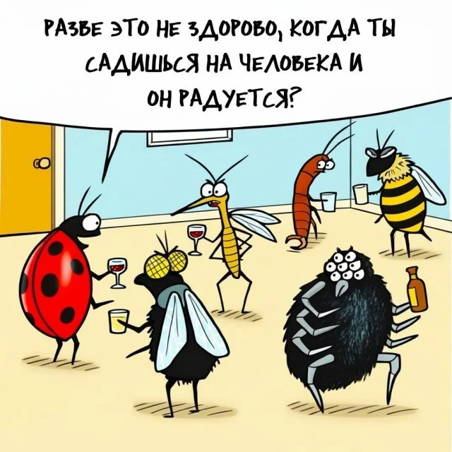 Шутки и мемы из Сети