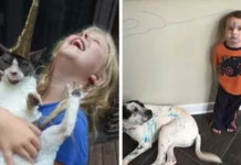 16 примеров того, что жизнь с детьми и питомцами превращается в бесконечное приключение