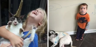 16 примеров того, что жизнь с детьми и питомцами превращается в бесконечное приключение