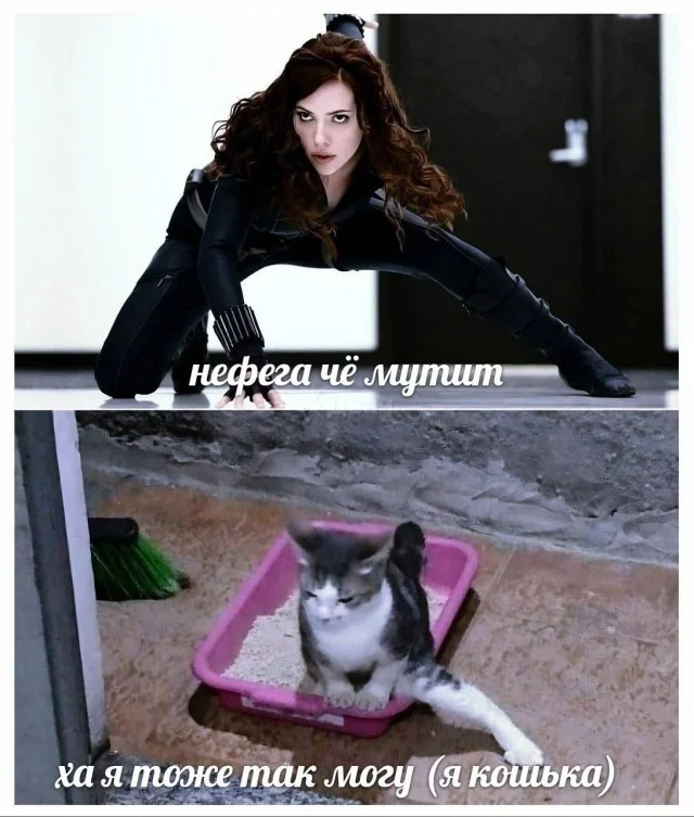 Мема-градия в баянах