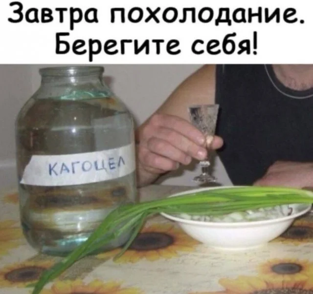 Типичные мемы