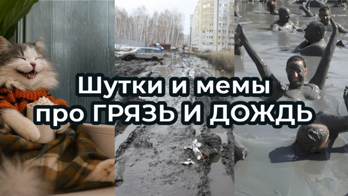 Осенний юмор: подборка шуток Осенний юмор: подборка шуток