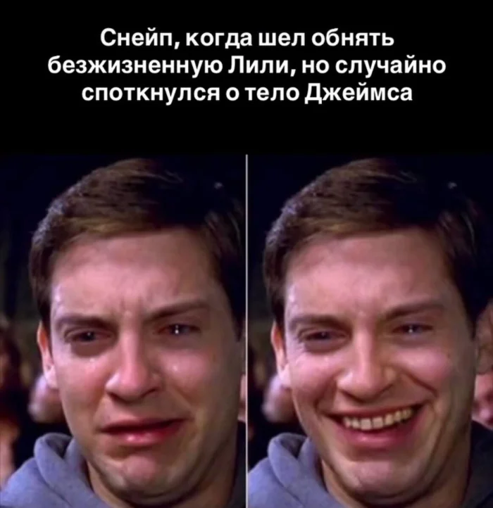 Мемы о Гарри Поттере, от которых даже Волан-де-Морт бы рассмеялся Мемы о Гарри Поттере, от которых даже Волан-де-Морт бы рассмеялся