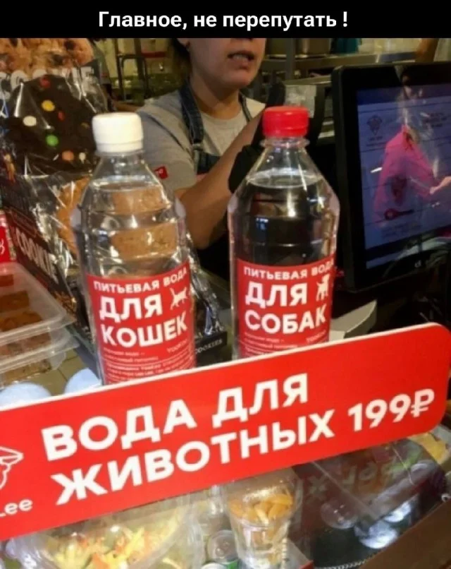 Мемы для настроения