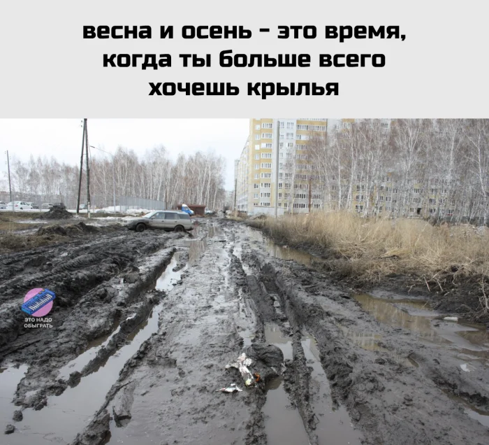 Осенний юмор: подборка шуток Осенний юмор: подборка шуток