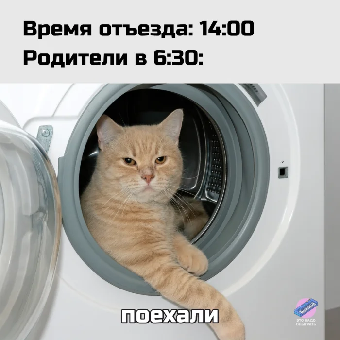 Юмор про мам, бабушек и дом: подборка, в которой узнает себя каждый Юмор про мам, бабушек и дом: подборка, в которой узнает себя каждый