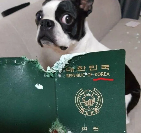 Кайф! Картинки!