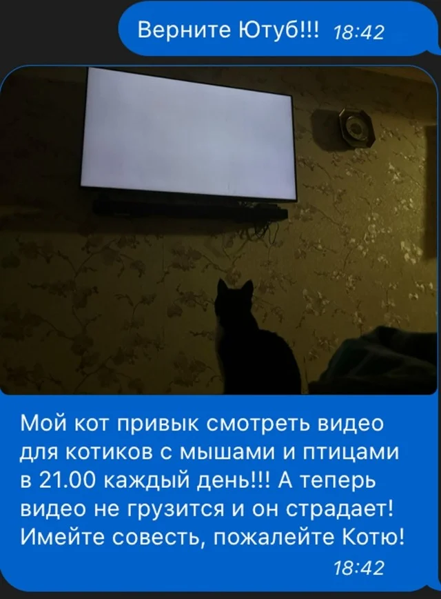 Вчерашние мемы