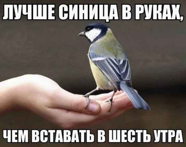 Легкая мемная деградация