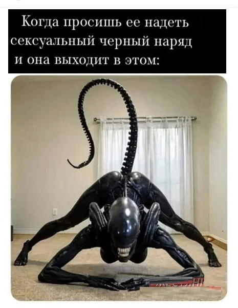 Мемы с текстом и не только