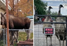 16 смешных ситуаций, когда таблички обещали одно, а происходило совсем другое
