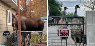 16 смешных ситуаций, когда таблички обещали одно, а происходило совсем другое