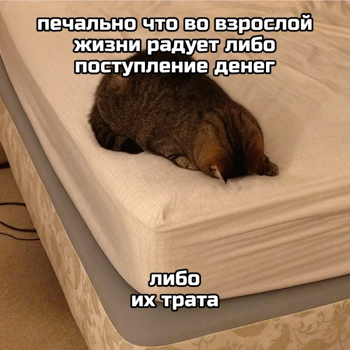 Подборка мемов о взрослой жизни — грустно, но смешно до слёз Подборка мемов о взрослой жизни — грустно, но смешно до слёз