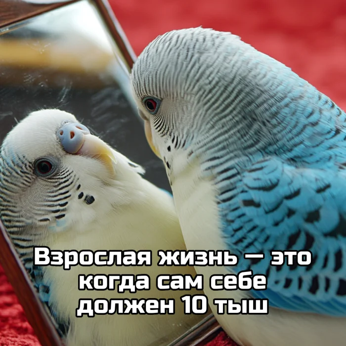 Подборка мемов о взрослой жизни — грустно, но смешно до слёз Подборка мемов о взрослой жизни — грустно, но смешно до слёз