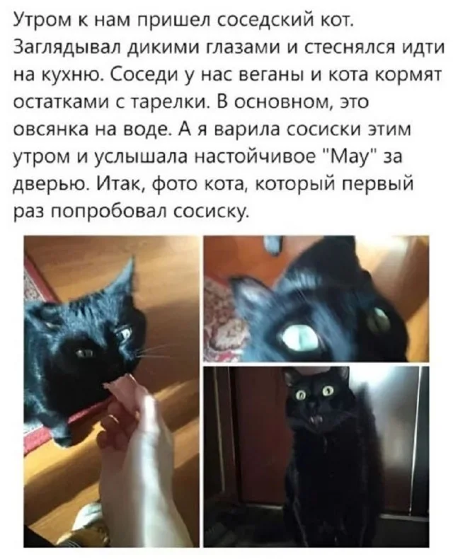 Свежие мемы подвезли