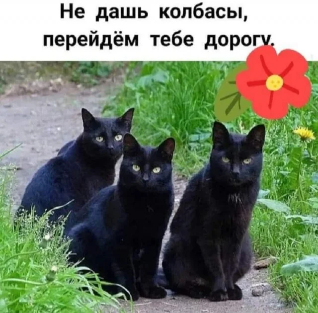 Классное настроение в мемах