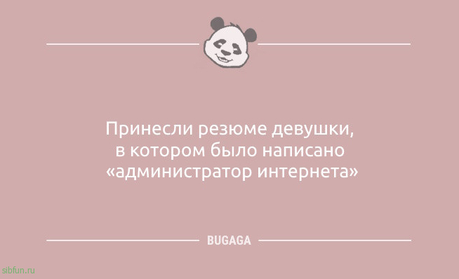 Анекдоты свежие: «По лукавым искоркам в глазах…» 