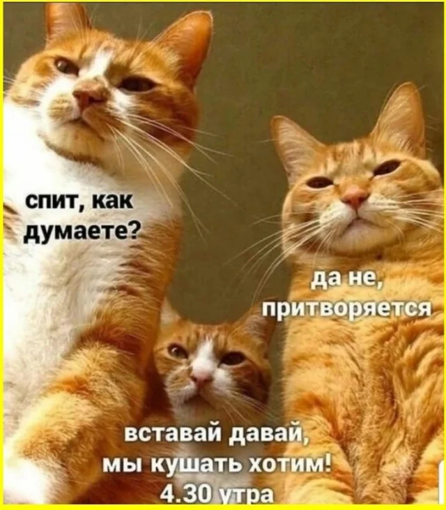 Кайф! Картинки!