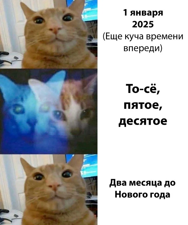 Просроченные мемы