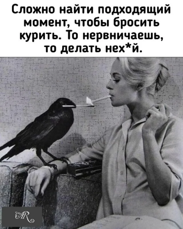 Свежие мемы подвезли