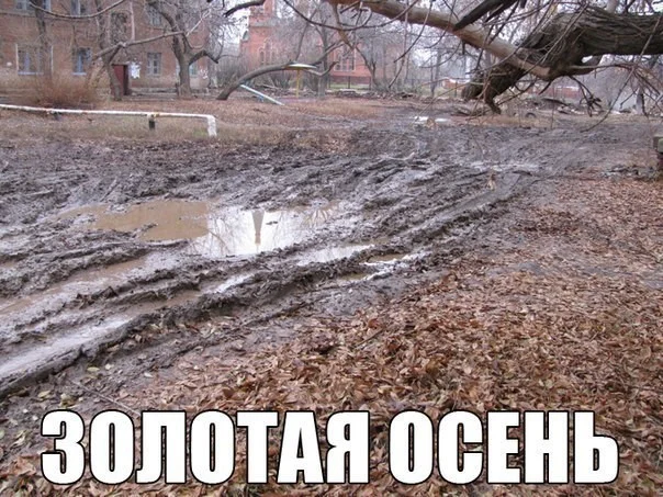 Осенний юмор: подборка шуток Осенний юмор: подборка шуток