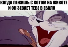 Деградация подъехала: Мемы