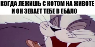 Деградация подъехала: Мемы