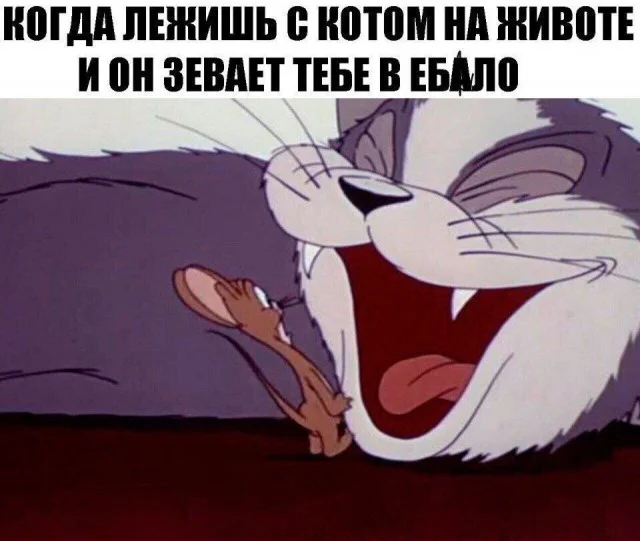 Деградация подъехала: Мемы