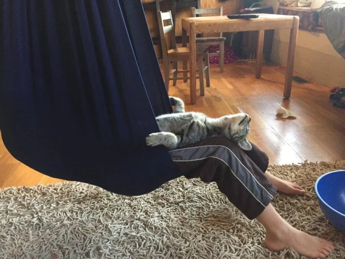 16 примеров того, что жизнь с детьми и питомцами превращается в бесконечное приключение 16 примеров того, что жизнь с детьми и питомцами превращается в бесконечное приключение