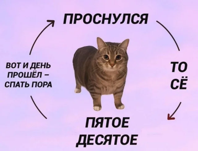 Легкая мемная деградация