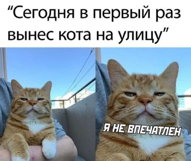 Просроченные мемы