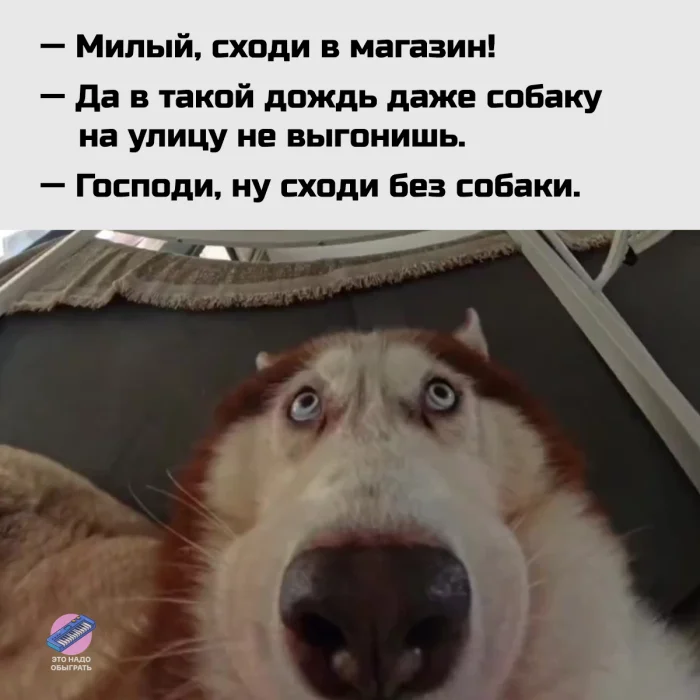 Осенний юмор: подборка шуток Осенний юмор: подборка шуток